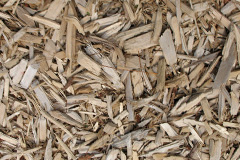 biomass boilers Gladestry